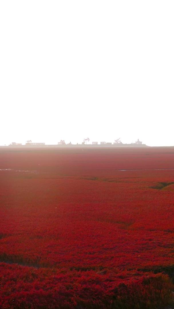 盘锦红海滩国家风景廊道5A级风景区爱国主义湿地视频的预览图