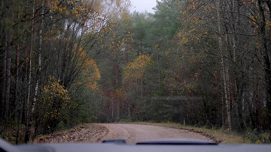 深秋驾驶汽车户外探险森林视频的预览图