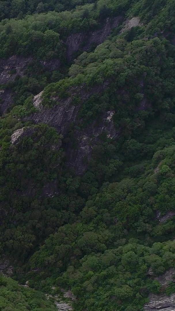 自然森林凤凰山岩石瀑布高清航拍视频的预览图