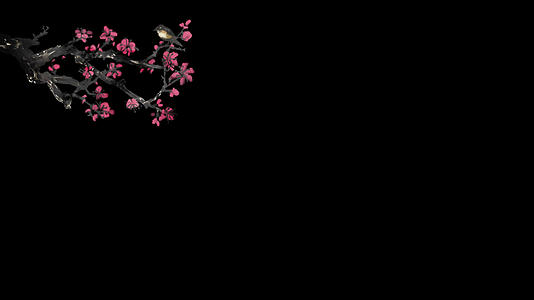梅花枝叶元素带透明度通道视频的预览图