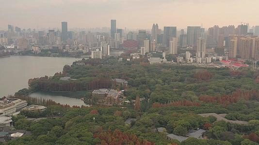 慢镜头航拍武汉城市绿肺东湖4K视频视频的预览图