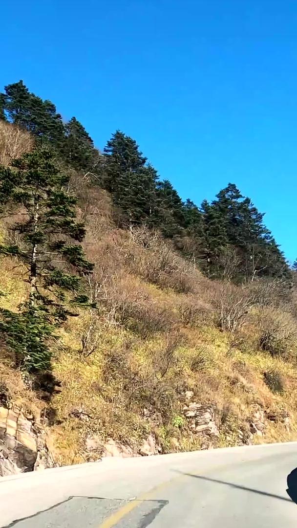 神农架登顶行车视频视频的预览图