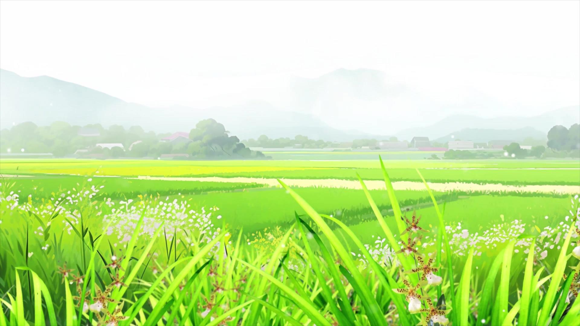 春天清新唯美的绿色田野背景视频视频的预览图