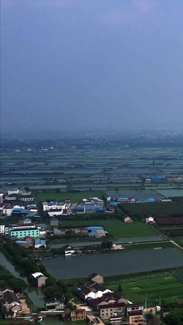 江南鱼米之乡视频的预览图