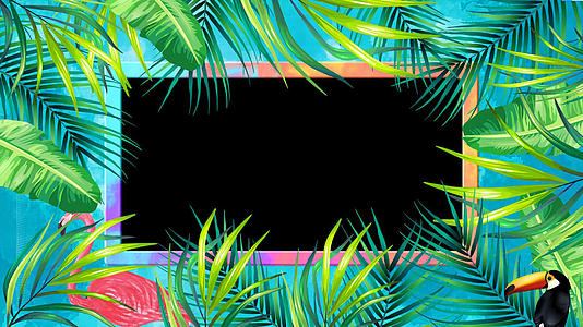 热带雨林风光卡通边框视频的预览图