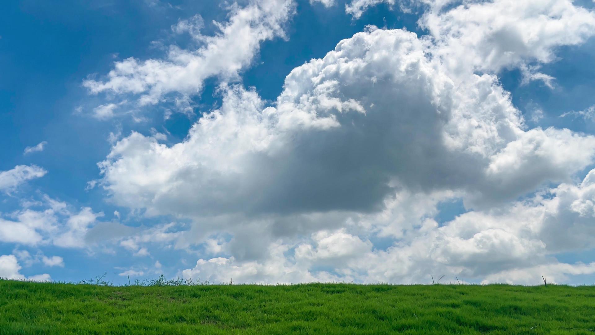 夏季蓝天白云下4k实拍草原视频的预览图