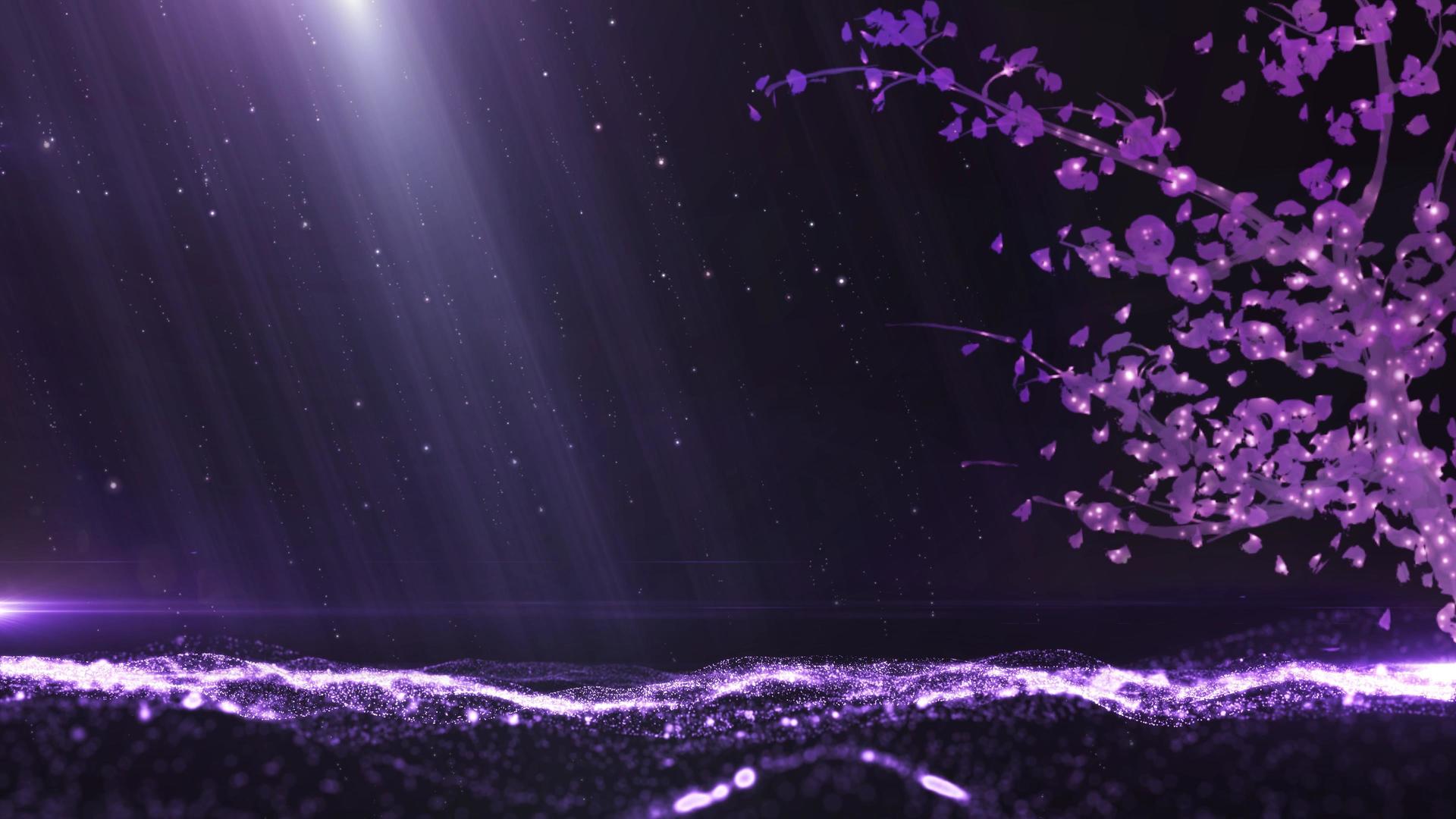 浪漫唯美紫色粒子光效4K背景视频视频的预览图