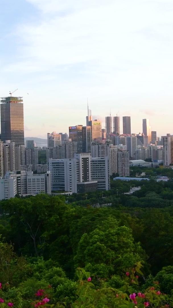 俯瞰深圳莲花山公园山顶的建筑群视频的预览图