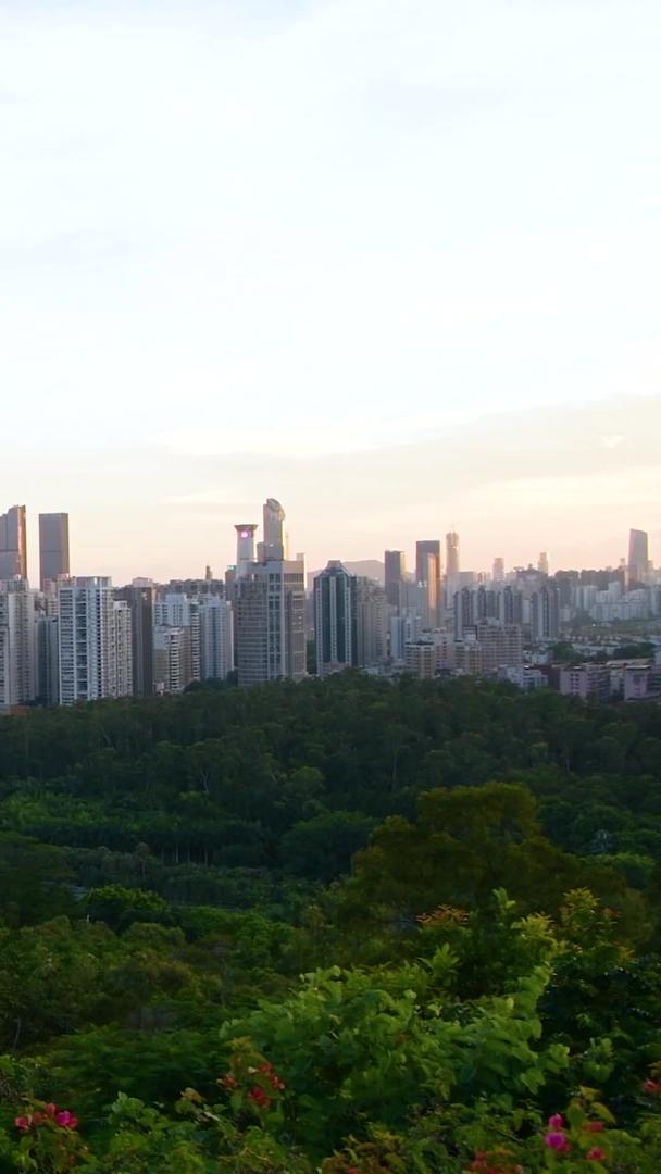 俯瞰深圳莲花山公园山顶的建筑群视频的预览图