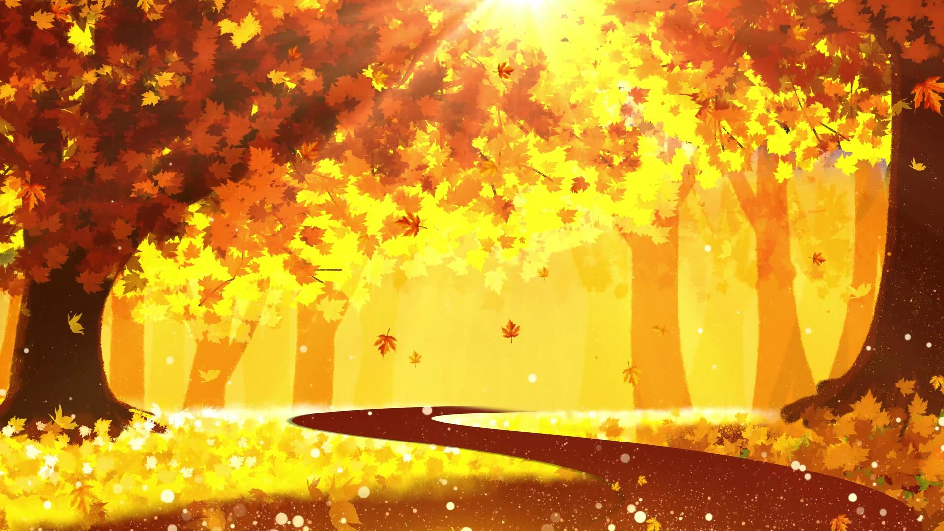 4K秋天的金色枫叶落景视频视频的预览图