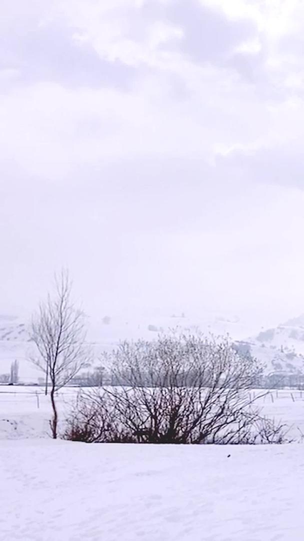 新疆伊犁州5A景区那拉提旅游景区雪景区雪景区视频的预览图