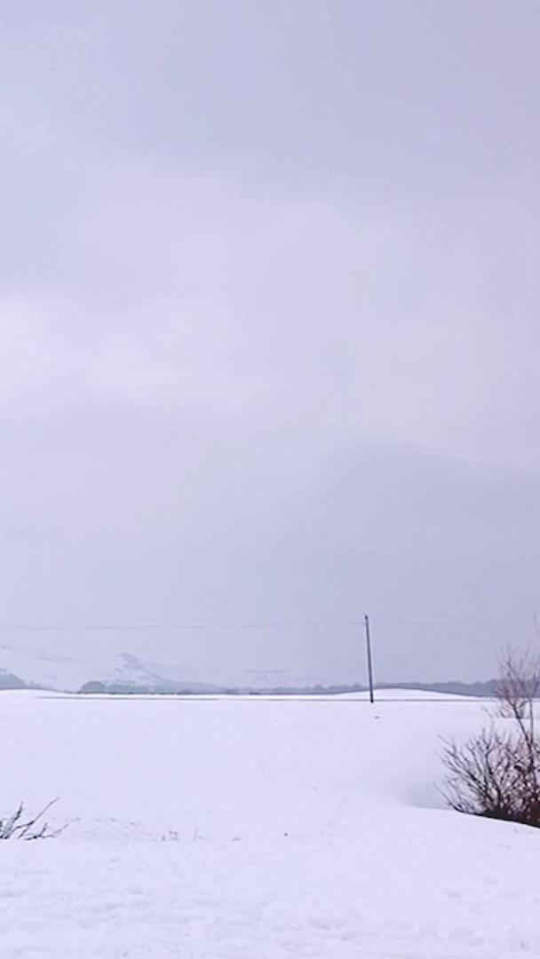 新疆伊犁州5A景区那拉提旅游景区雪景区雪景区视频的预览图