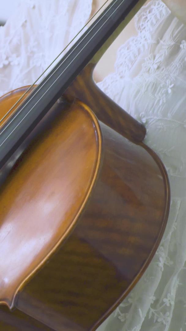演奏拉大提琴视频的预览图