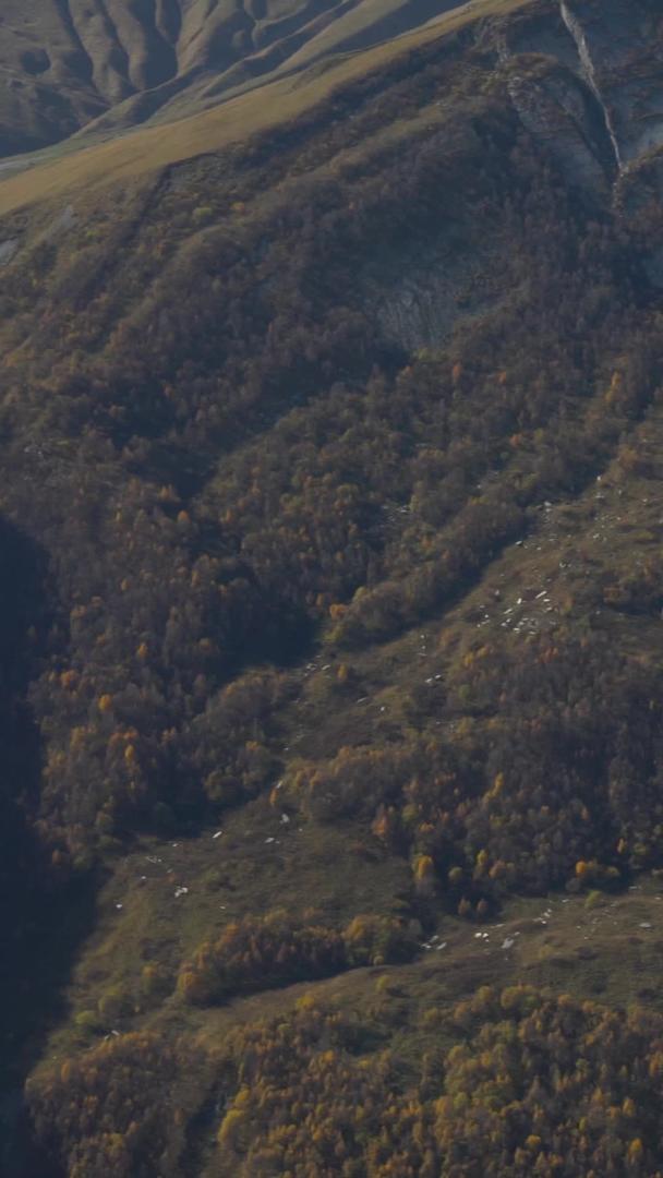 山间滑翔伞实拍视频的预览图