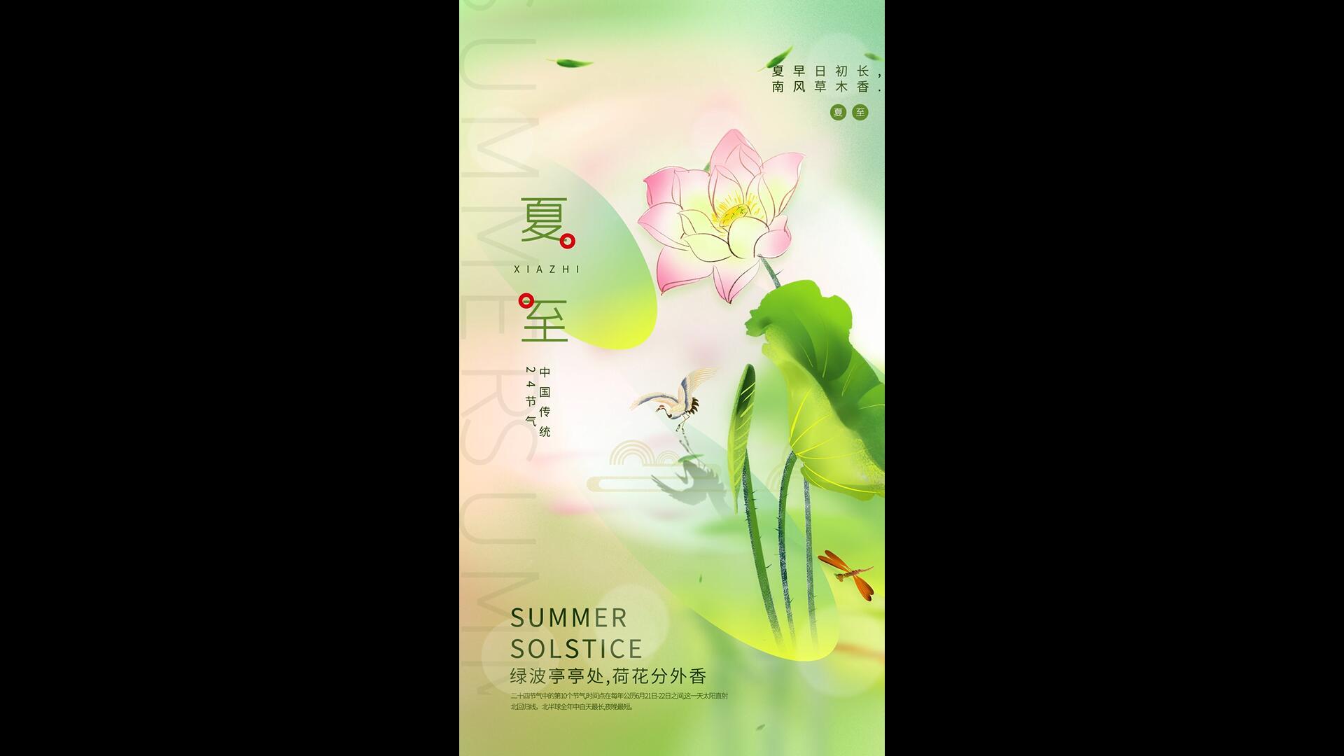 简洁清新夏至节气海报AE模板视频的预览图