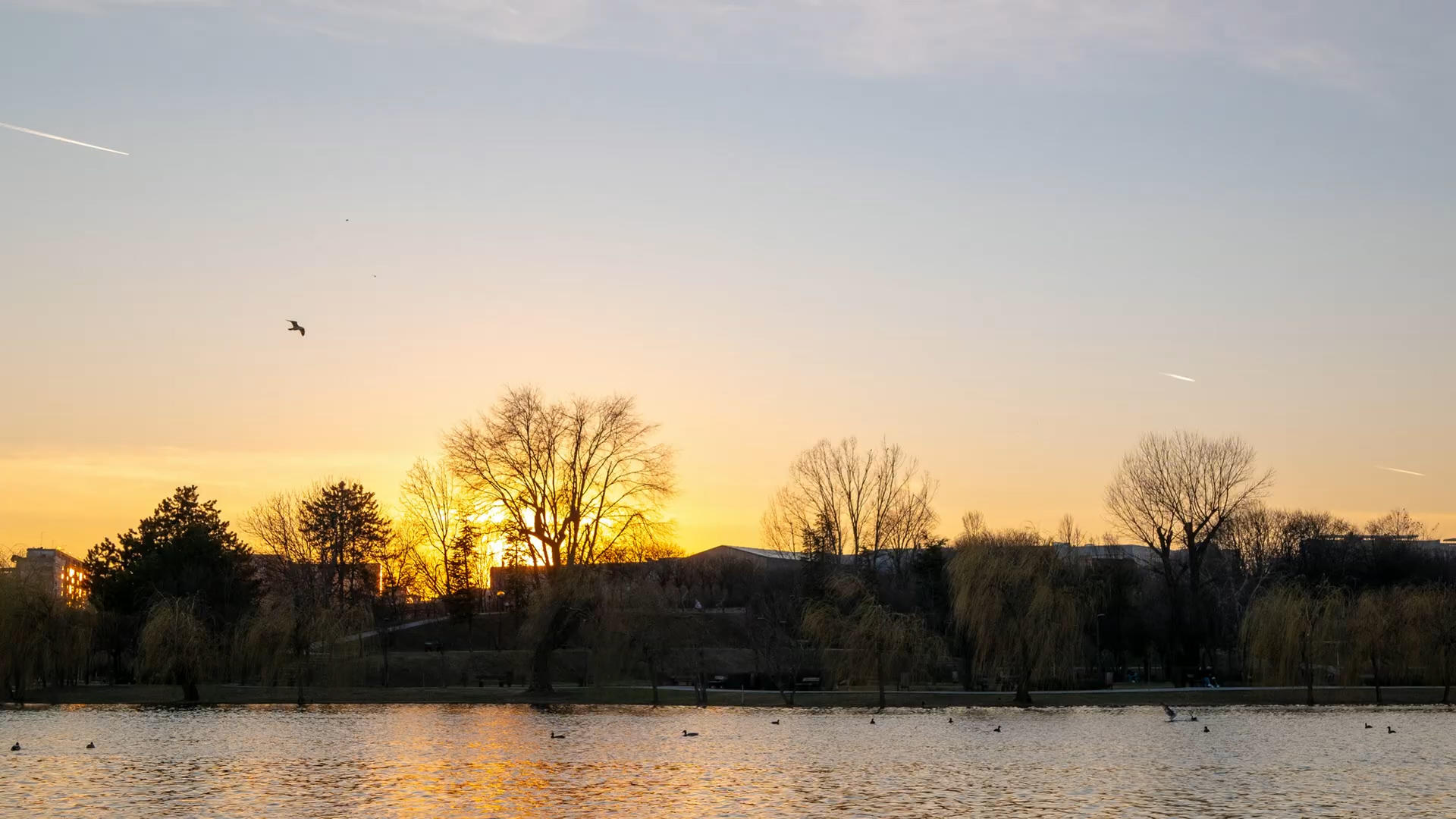 间隔拍摄日落湖面风景视频的预览图