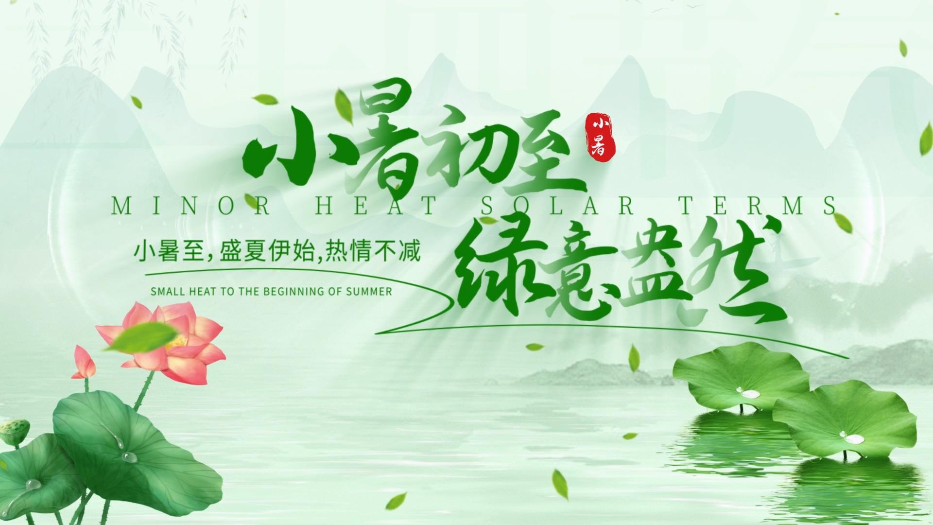 绿色清新小暑字幕片头AE模板视频的预览图