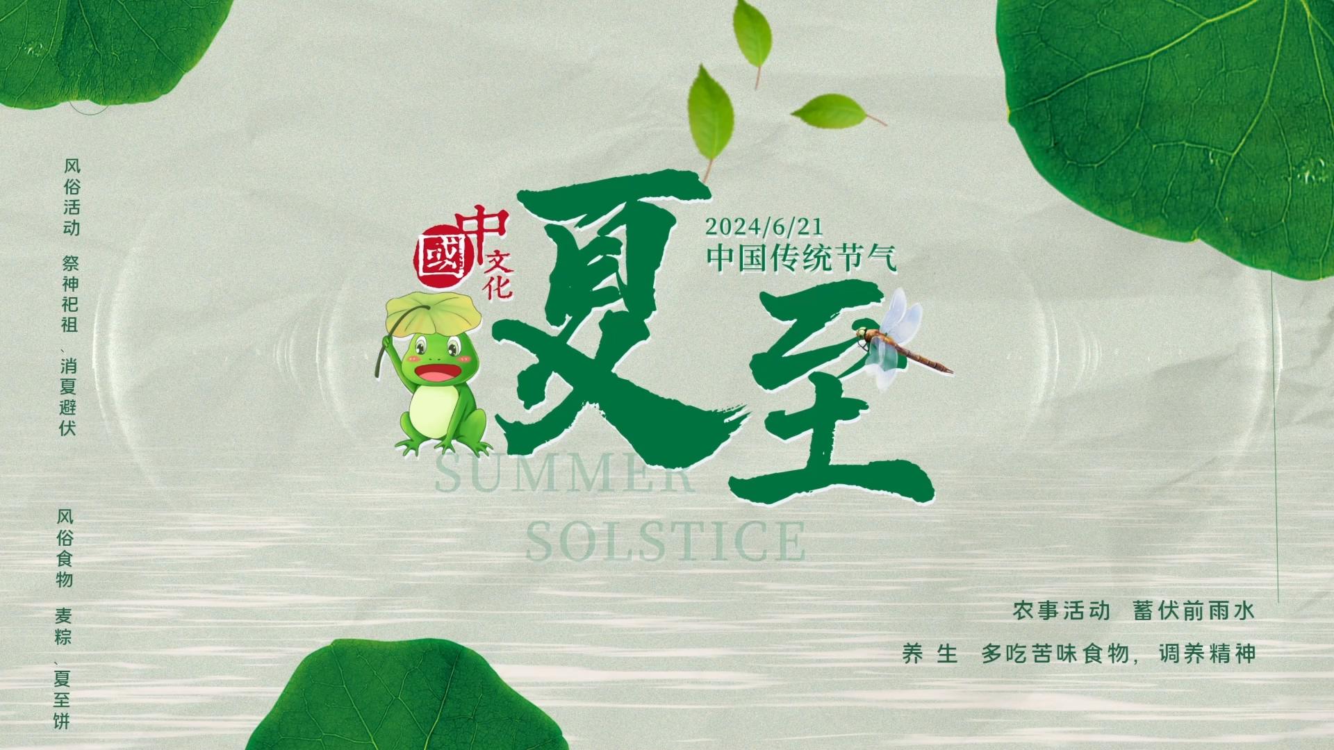 简洁清新夏至字幕片头AE模板视频的预览图
