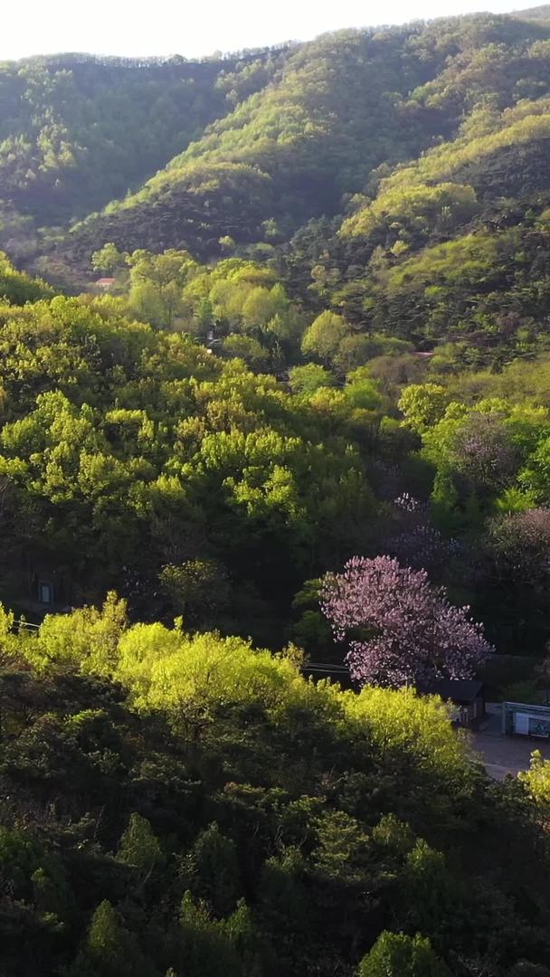 江苏5A花果山景区自然风光航拍视频视频的预览图