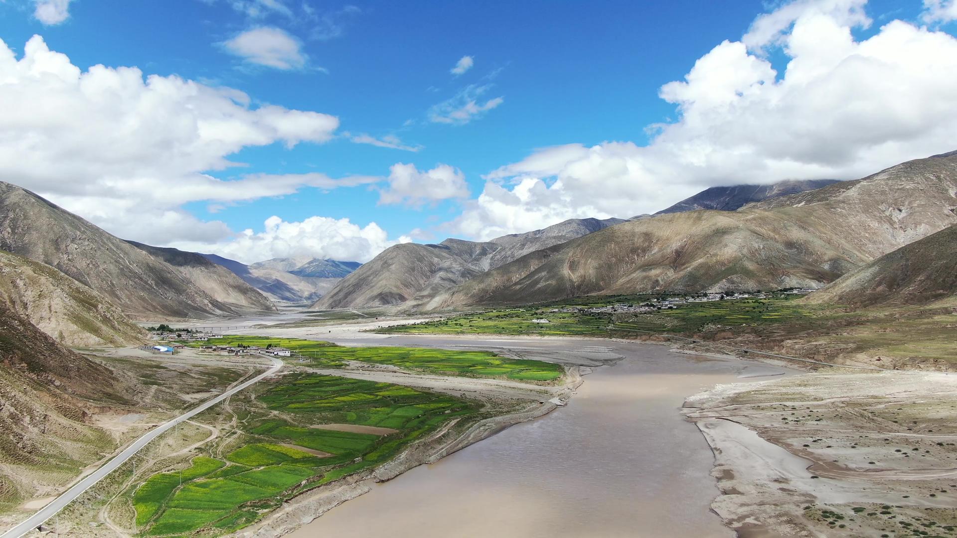西藏雅鲁藏布江河畔油菜花田航拍视频视频的预览图