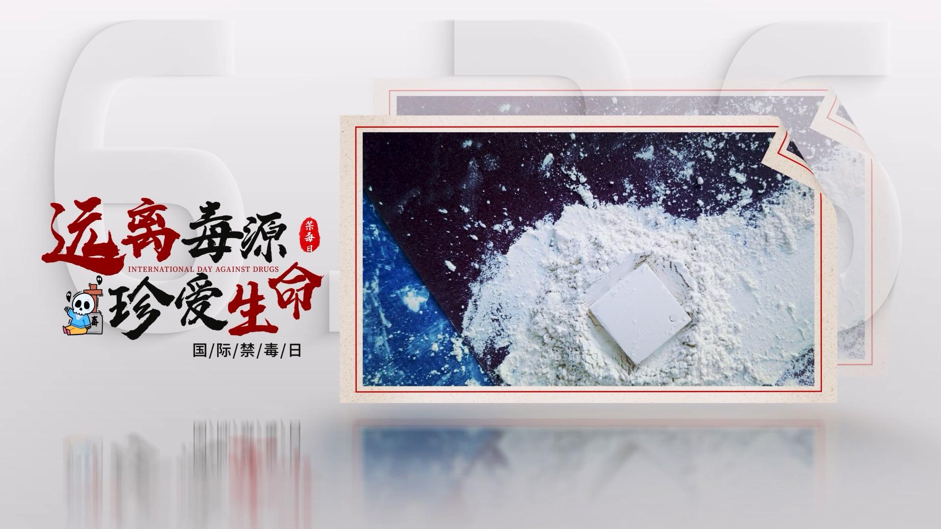 简洁大气国际禁毒日图介绍AE模板视频的预览图