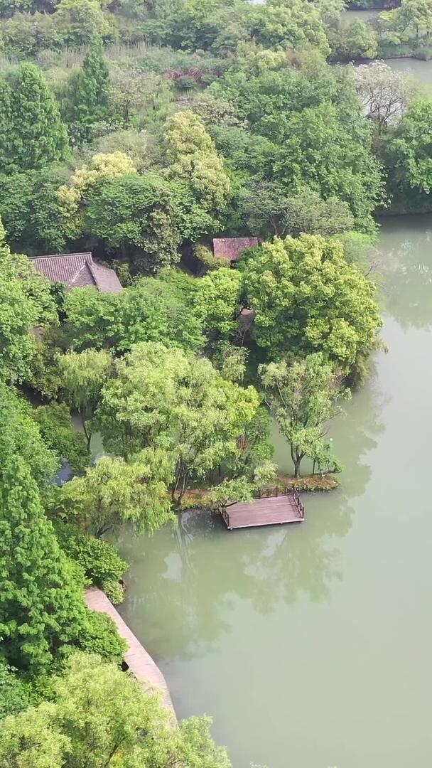 杭州西溪湿地国家湿地公园视频的预览图
