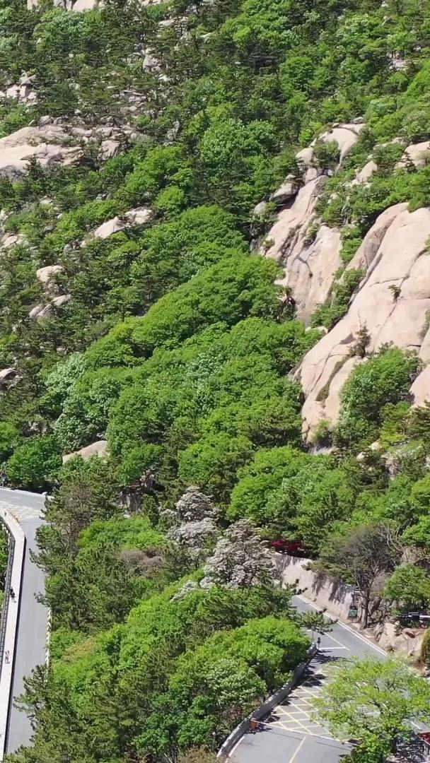 青岛自然风光海滨公路航拍视频视频的预览图