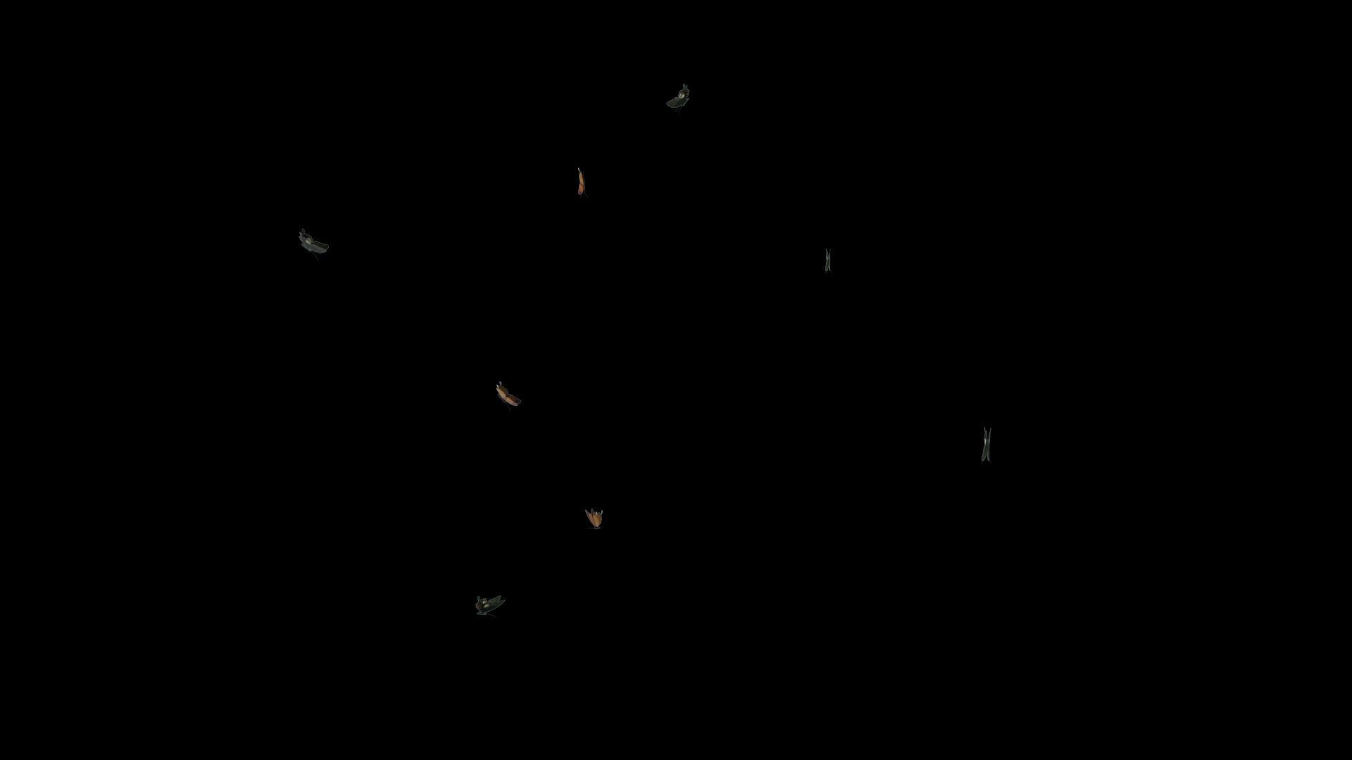 三维蝴蝶动画视频的预览图