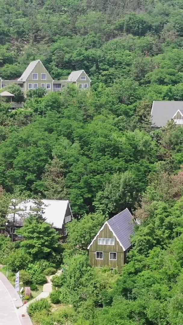 青岛森林公园里的小木屋视频的预览图