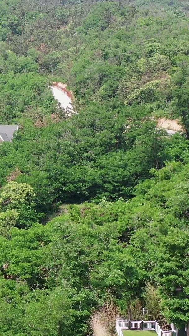 青岛森林公园里的小木屋视频的预览图
