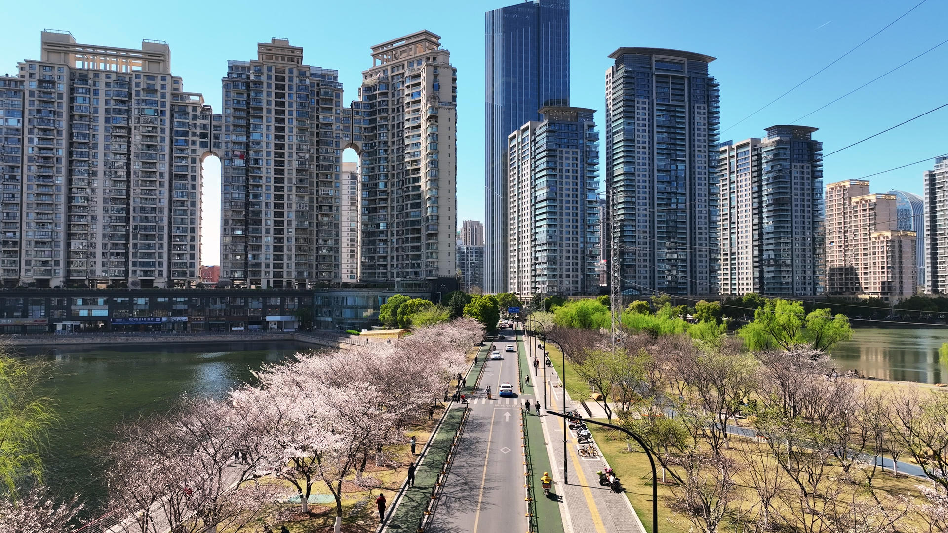 武汉城市春季开满樱花的交通街景4k素材视频的预览图