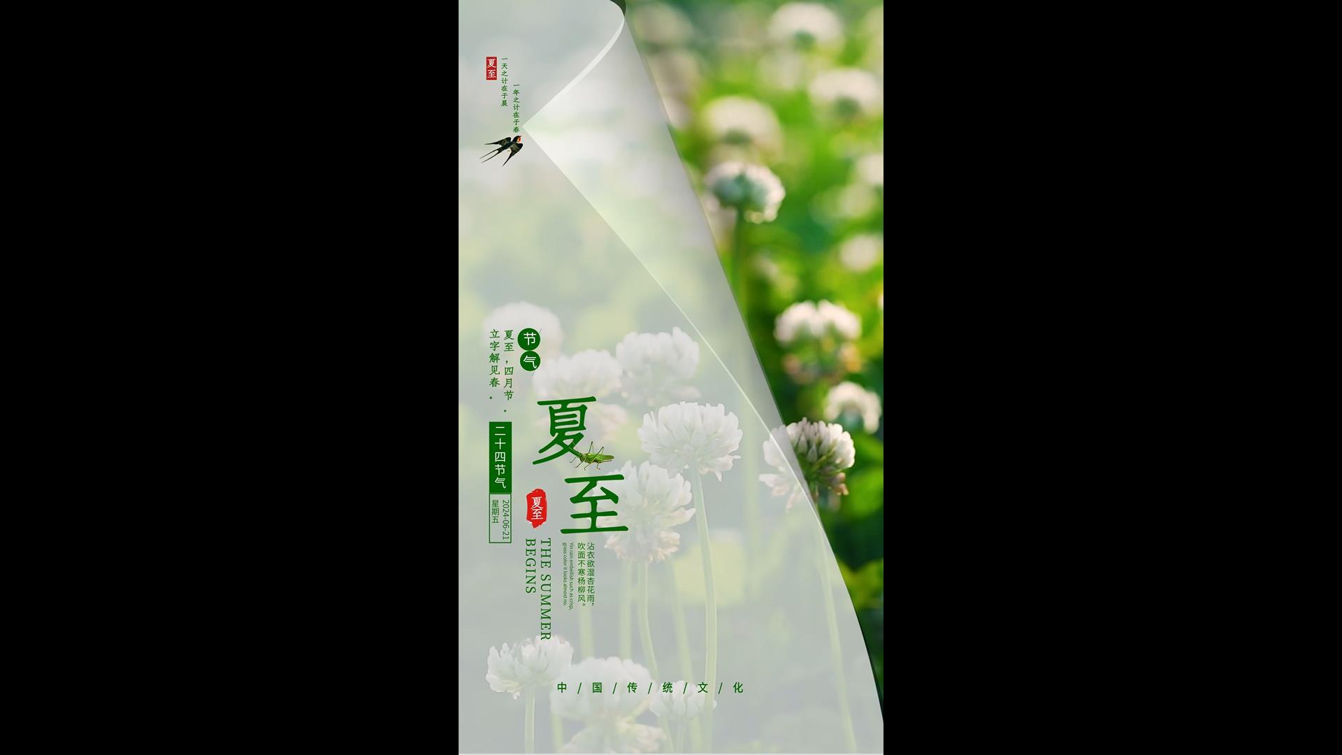 简洁清新夏至节气海报AE模板视频的预览图
