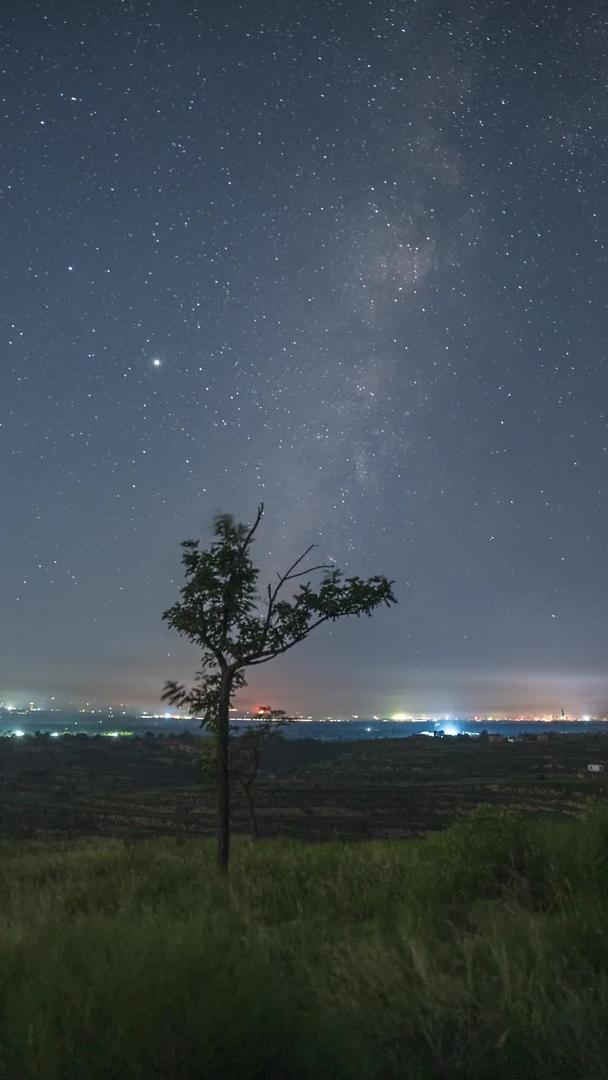 银河竖屏树木前景视频的预览图