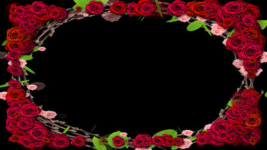 玫瑰盛开婚礼边框视频的预览图