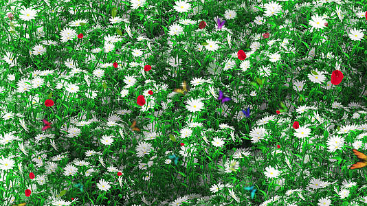 4K唯美的春天花草背景素材视频的预览图