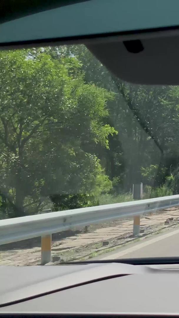 高速公路行驶视频的预览图