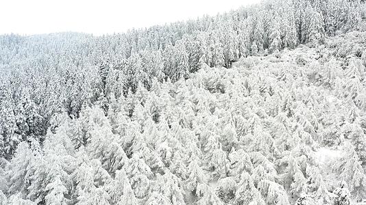 航拍仙女山景区冬季冰天雪地视频的预览图