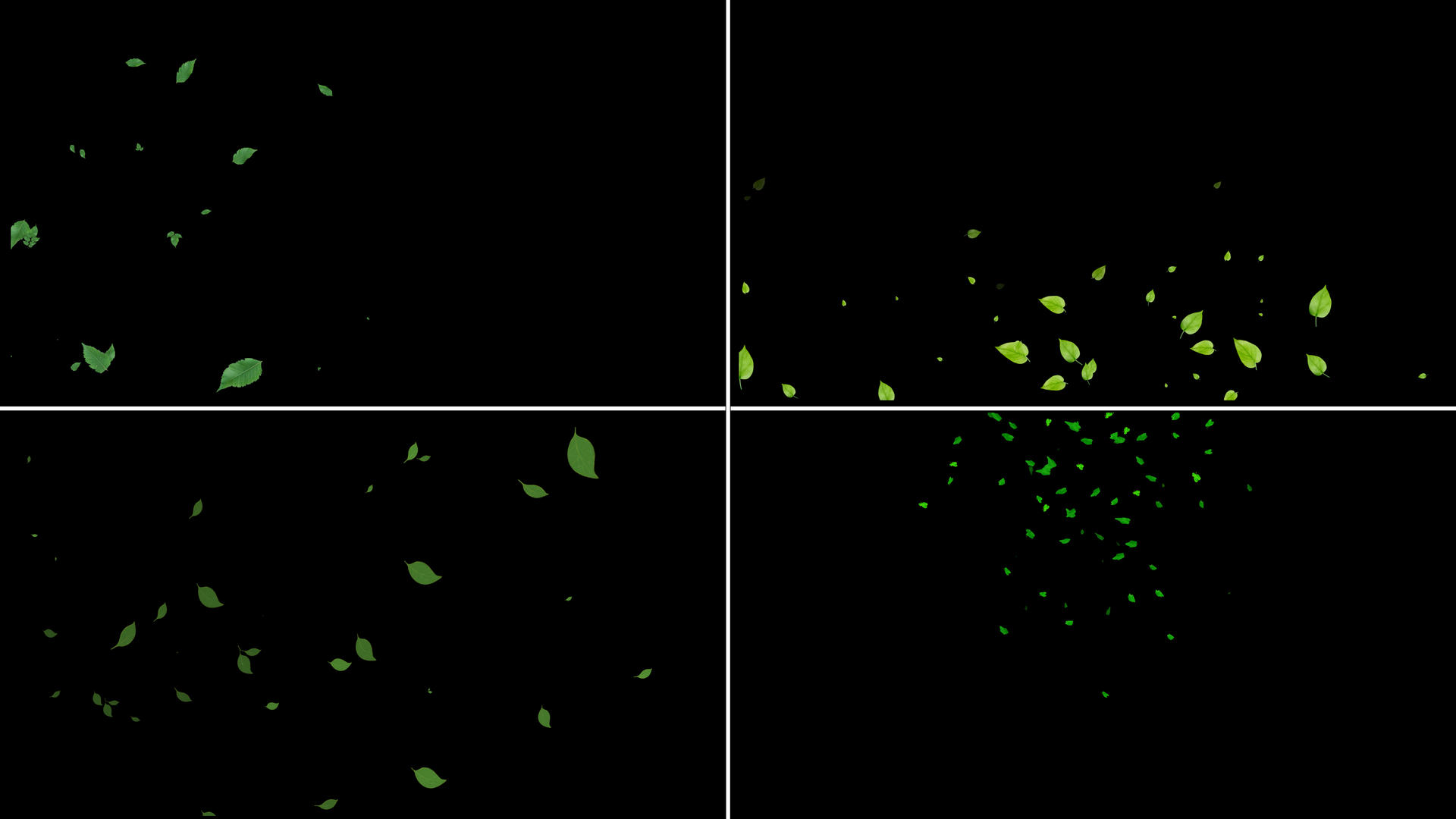 一组绿叶粒子漂浮动画视频的预览图