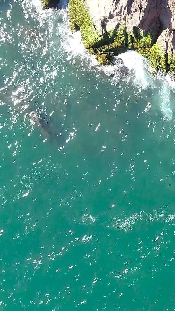 惠州海龟湾海浪礁石航拍视频的预览图