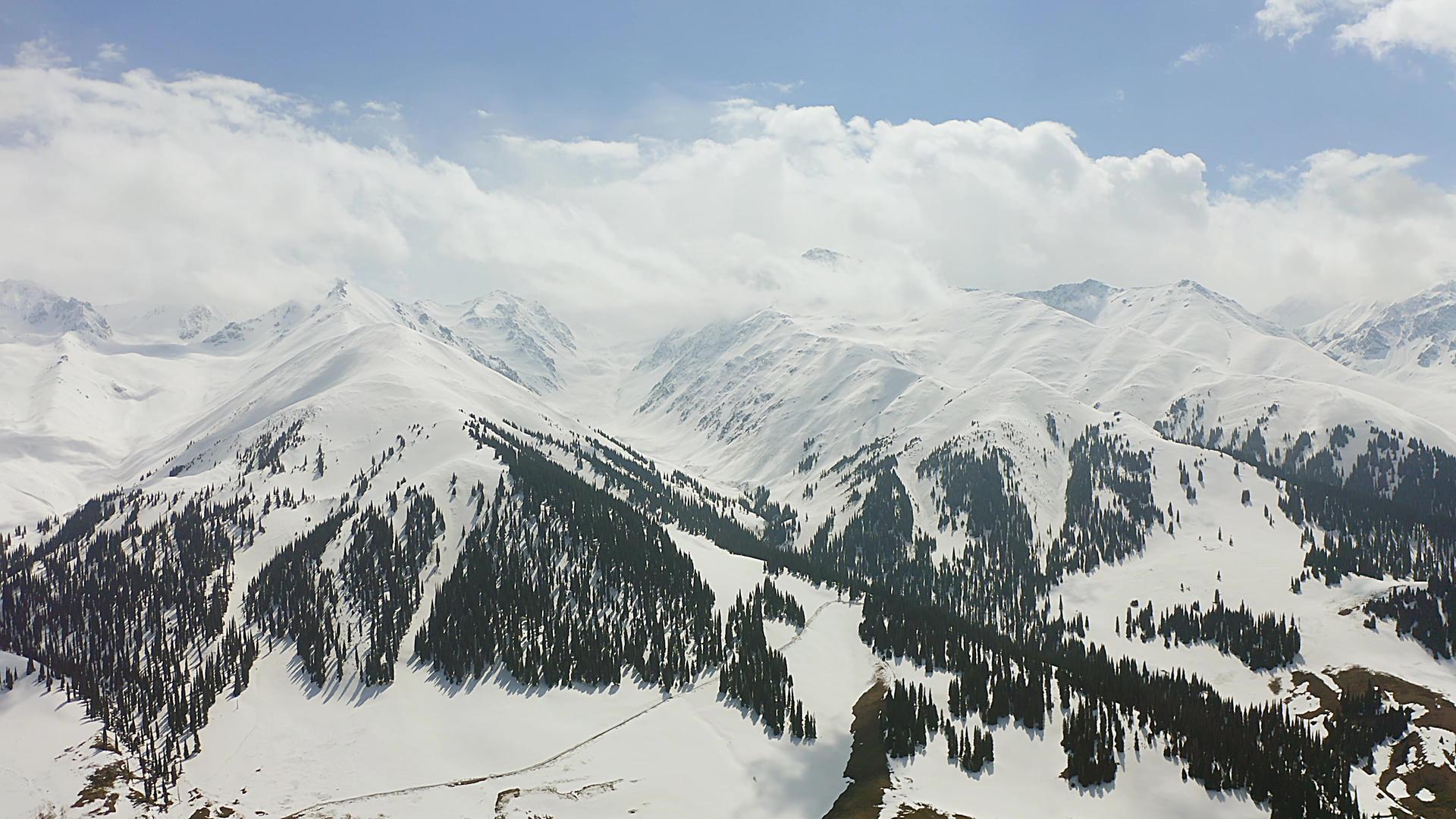 那拉提雪山冬季视频的预览图