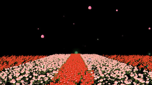 透明通道鲜花装饰素材视频的预览图