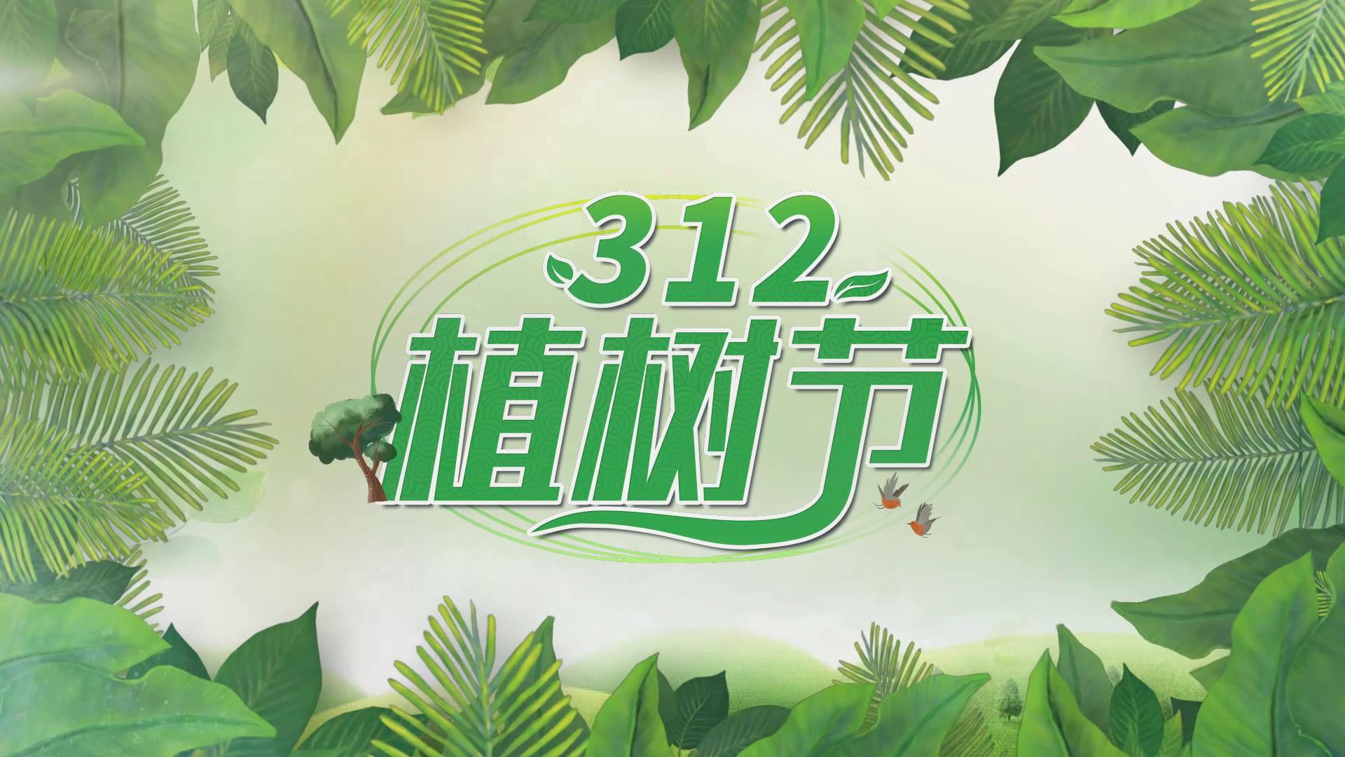 312保护地球植树节宣传图文展示视频的预览图