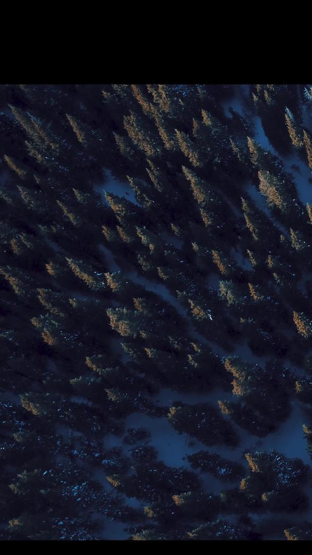 好莱坞航拍森林可以作为片头雪山视频的预览图