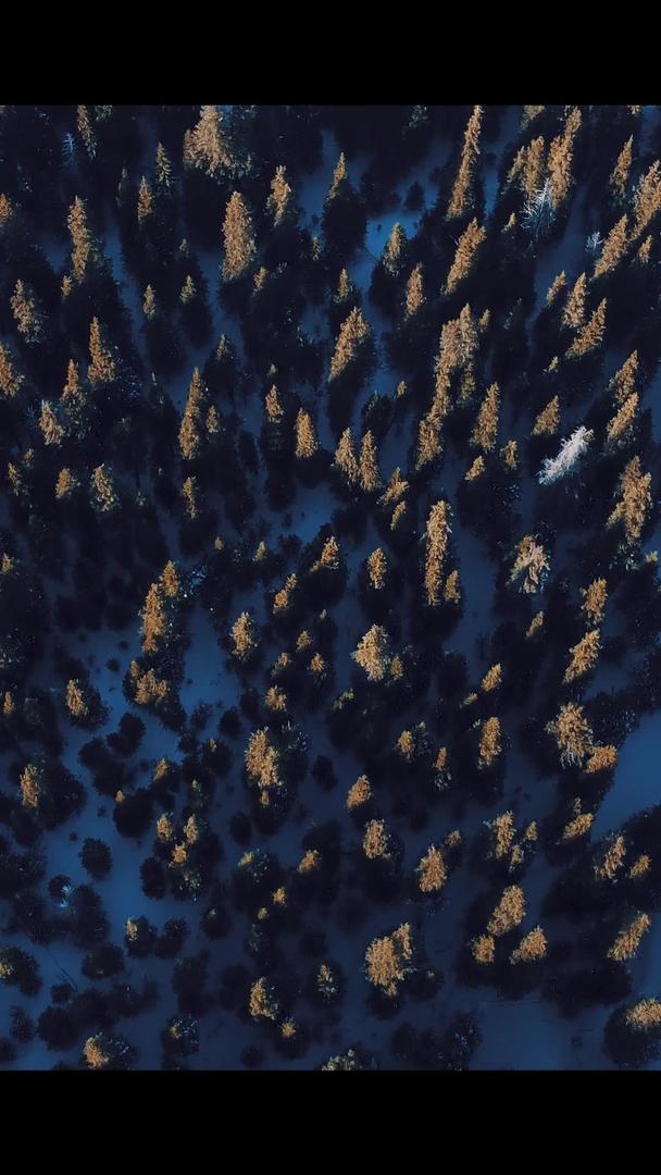 好莱坞航拍森林可以作为片头雪山视频的预览图