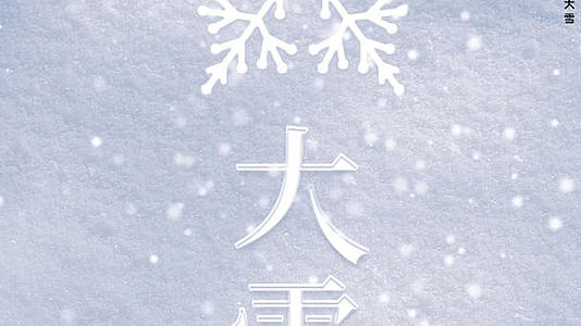 清新简约传统节气之大雪视频的预览图