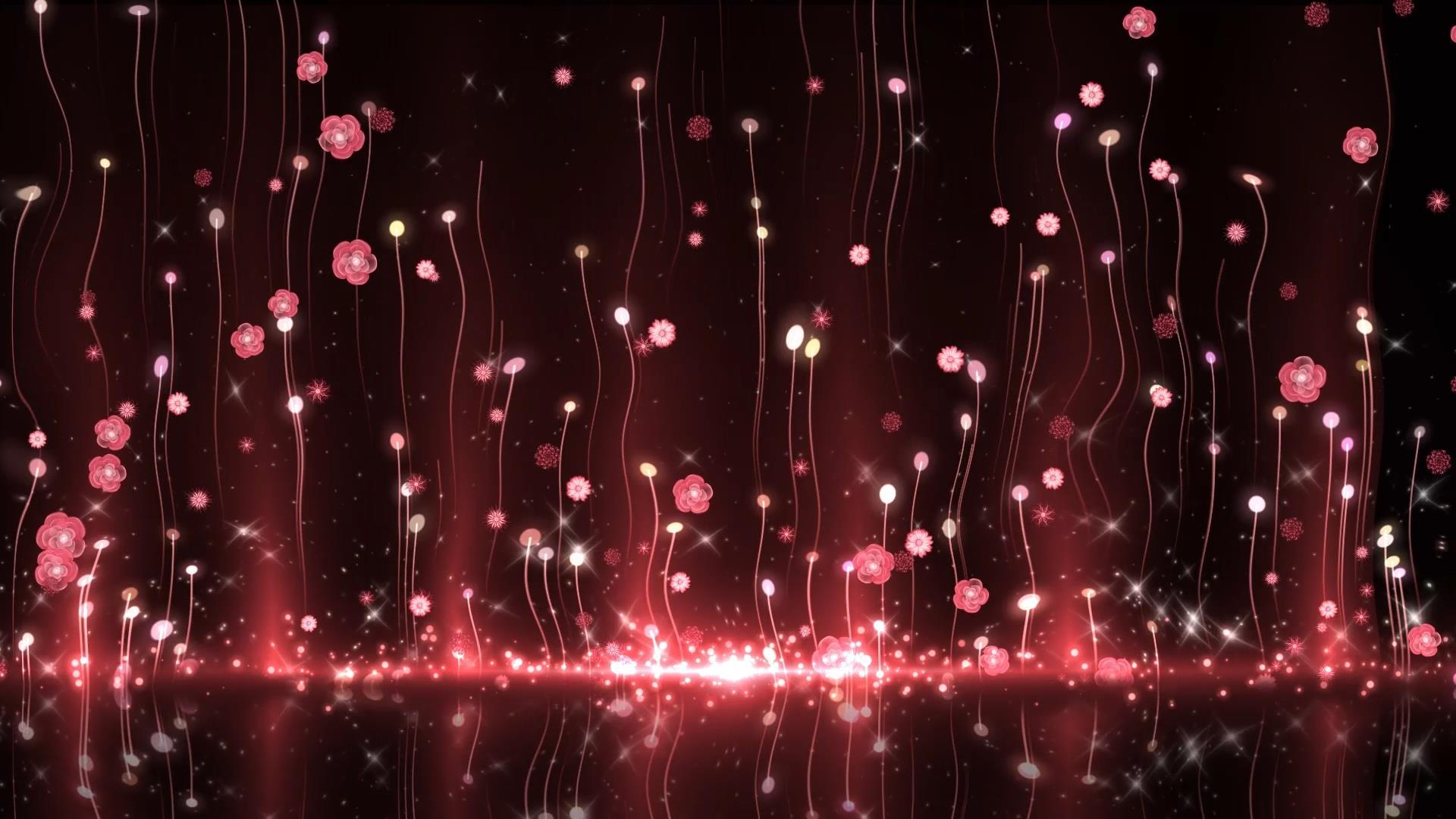 动态红色唯美光效粒子花朵线条背景视频素材视频的预览图