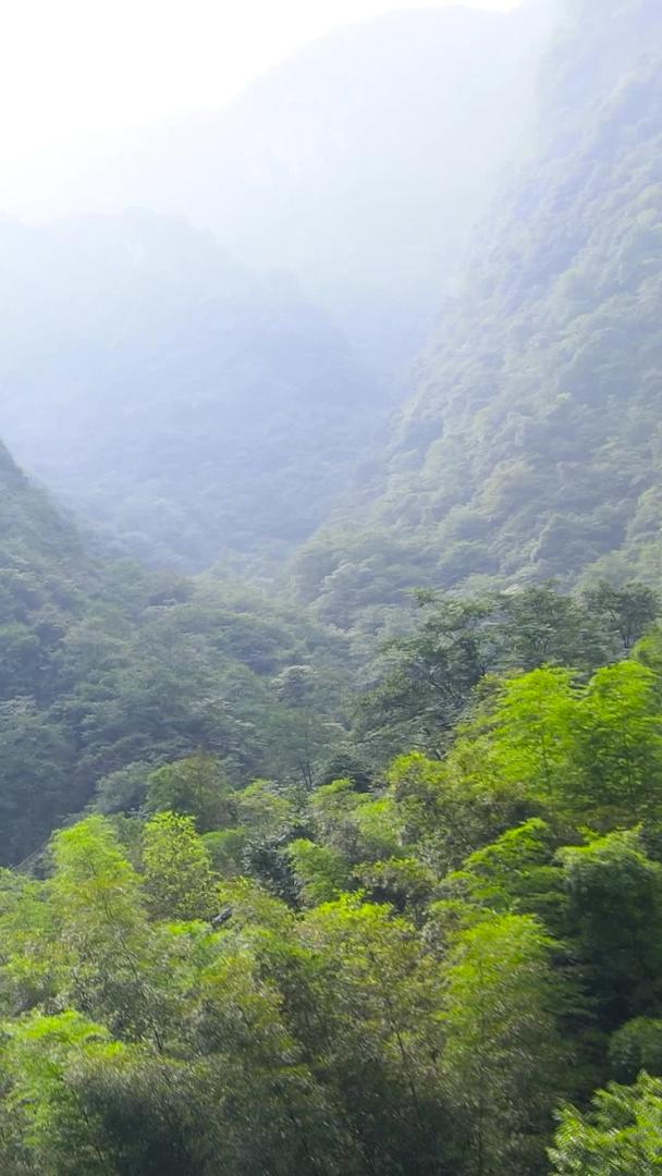 江西宜春5A景区云中瀑布航拍视频的预览图