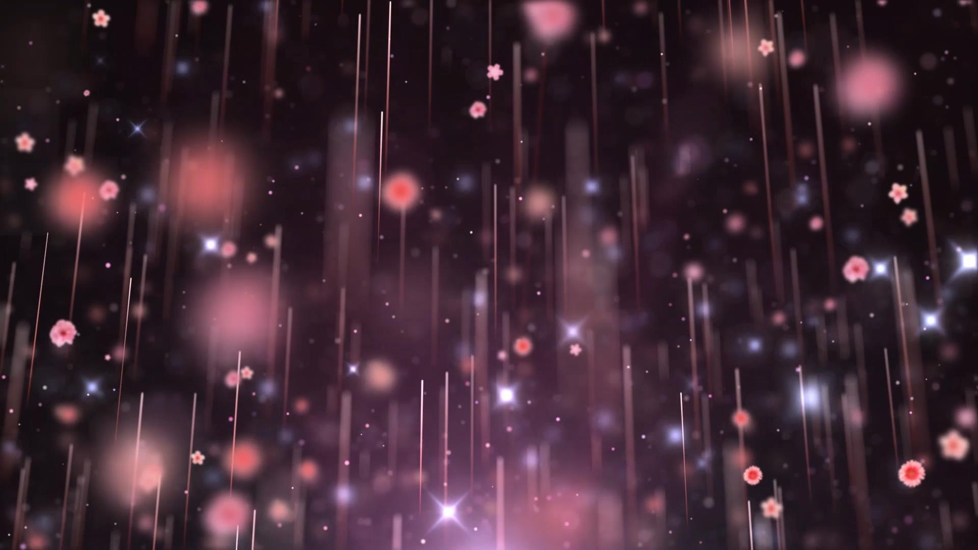 唯美动态粒子光效花瓣上升背景视频元素视频的预览图
