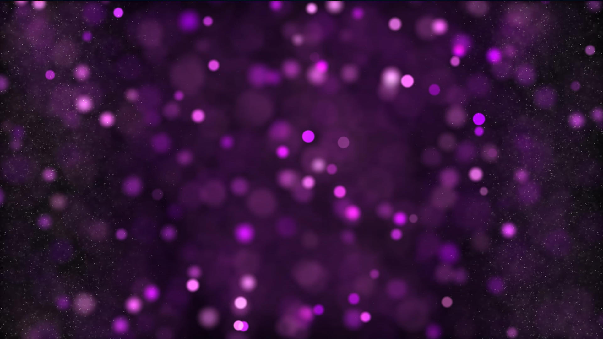 粒子动画背景元素带透明度通道视频的预览图