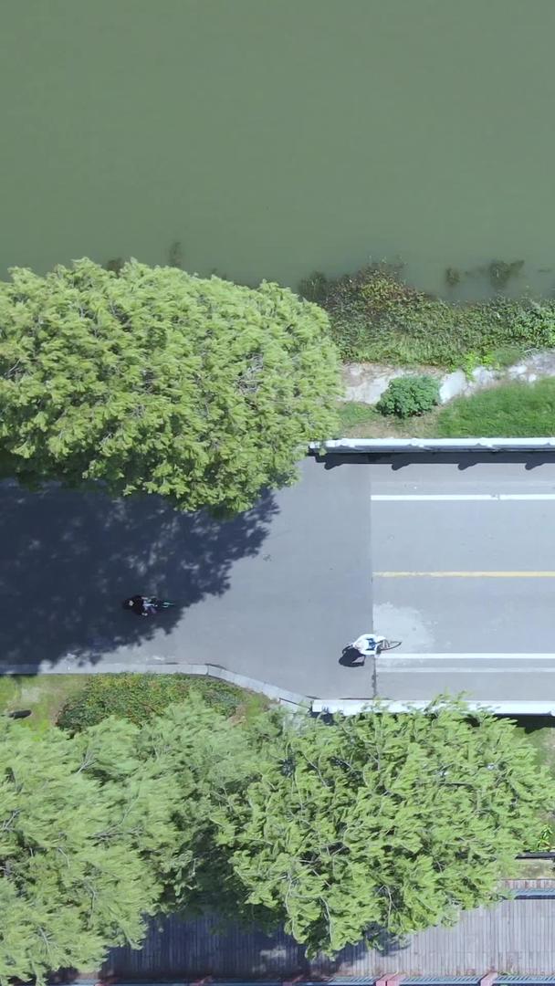 航拍城市公园湖景林荫绿道健身人群运动素材视频的预览图